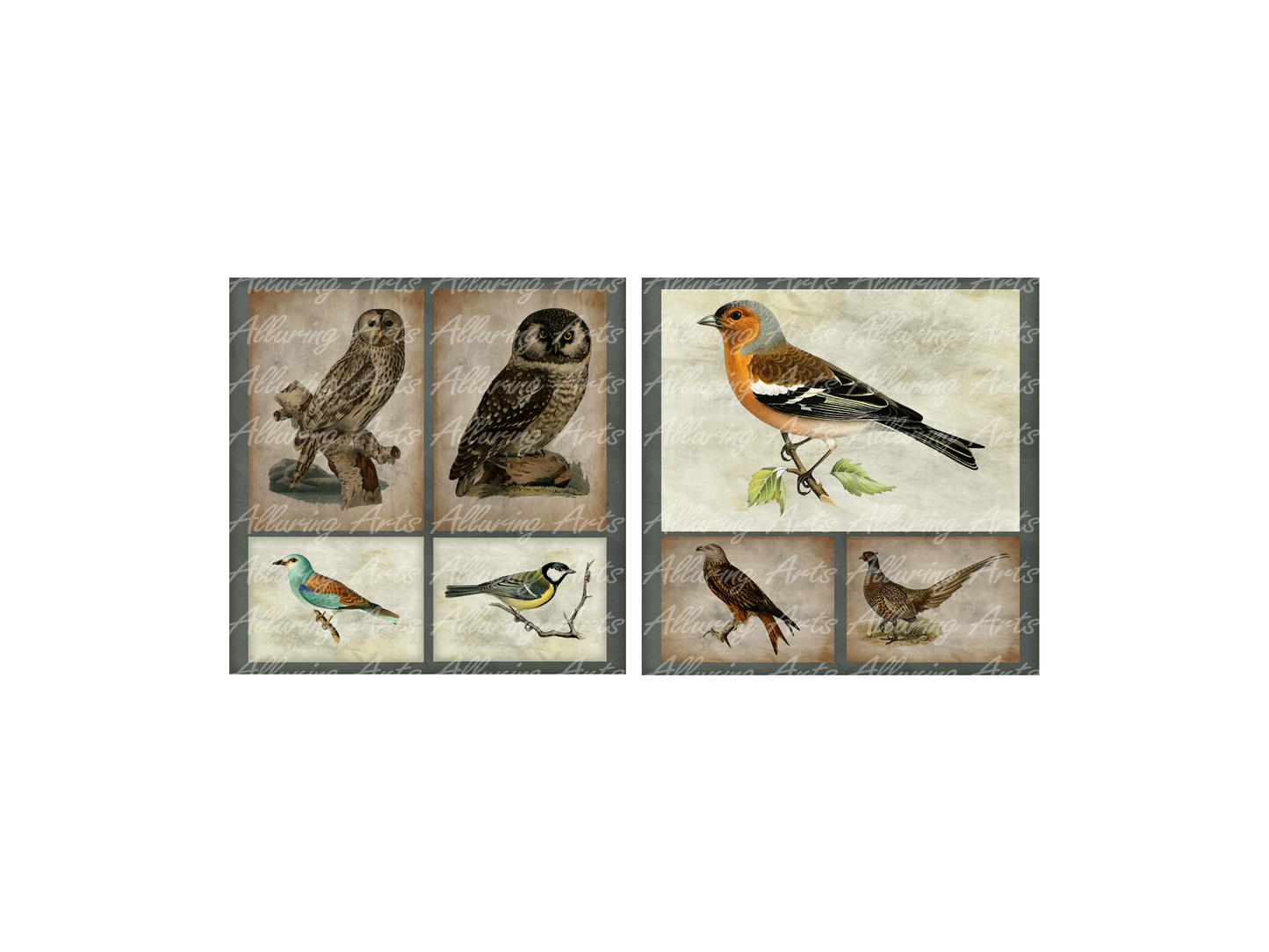 Handmade Vintage Birds 8x8 Inch Paper Scrapbooking Junk Journal Pad 200gsm