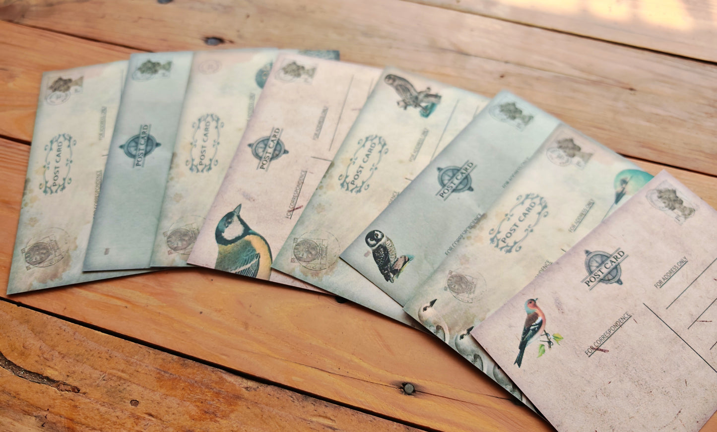 Vintage Birds Postcard Double Sided 8 Pack