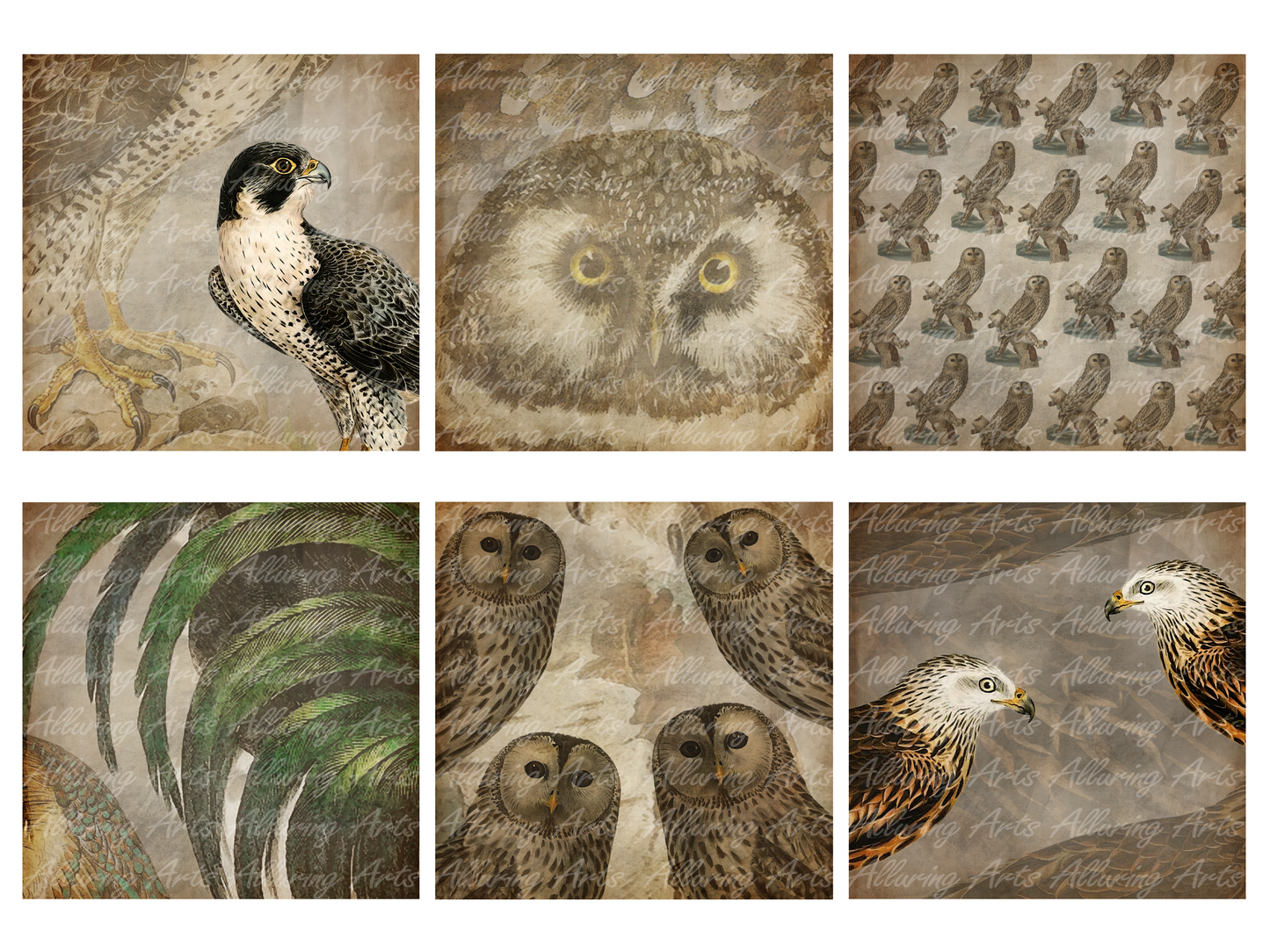 Handmade Vintage Birds 8x8 Inch Paper Scrapbooking Junk Journal Pad 200gsm