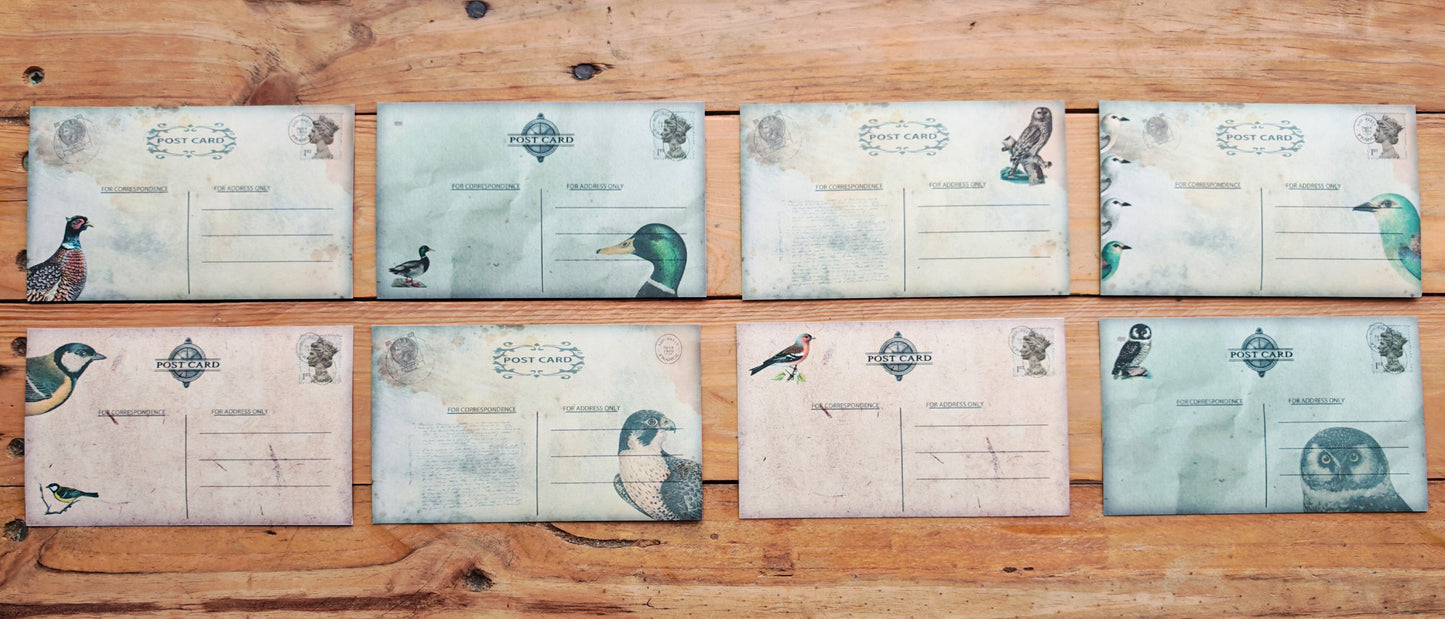 Vintage Birds Postcard Double Sided 8 Pack
