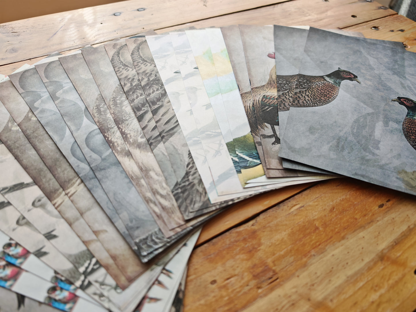 Birds - A5 Paper Pad