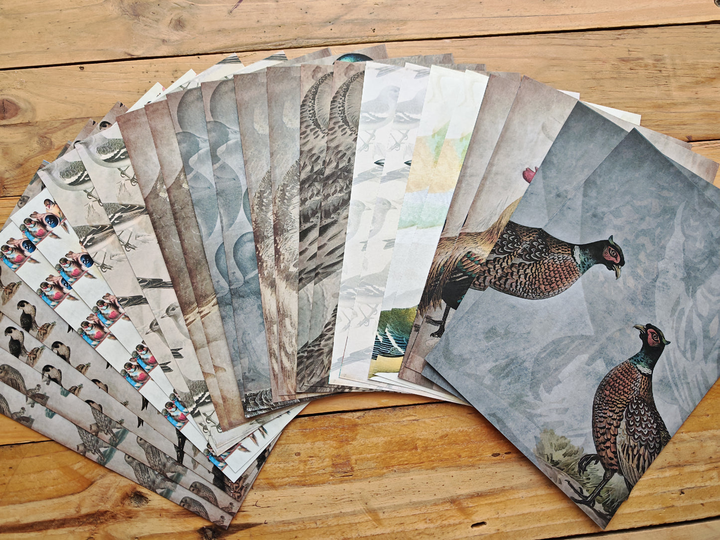 Birds - A5 Paper Pad