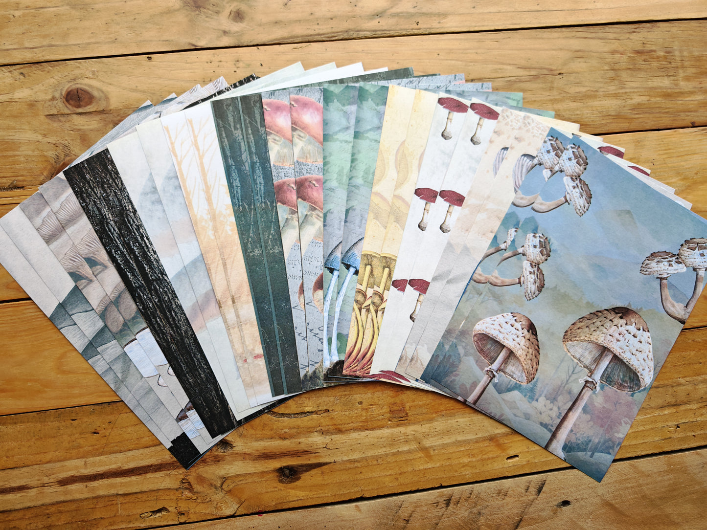 Mushrooms - A5 Paper Pad