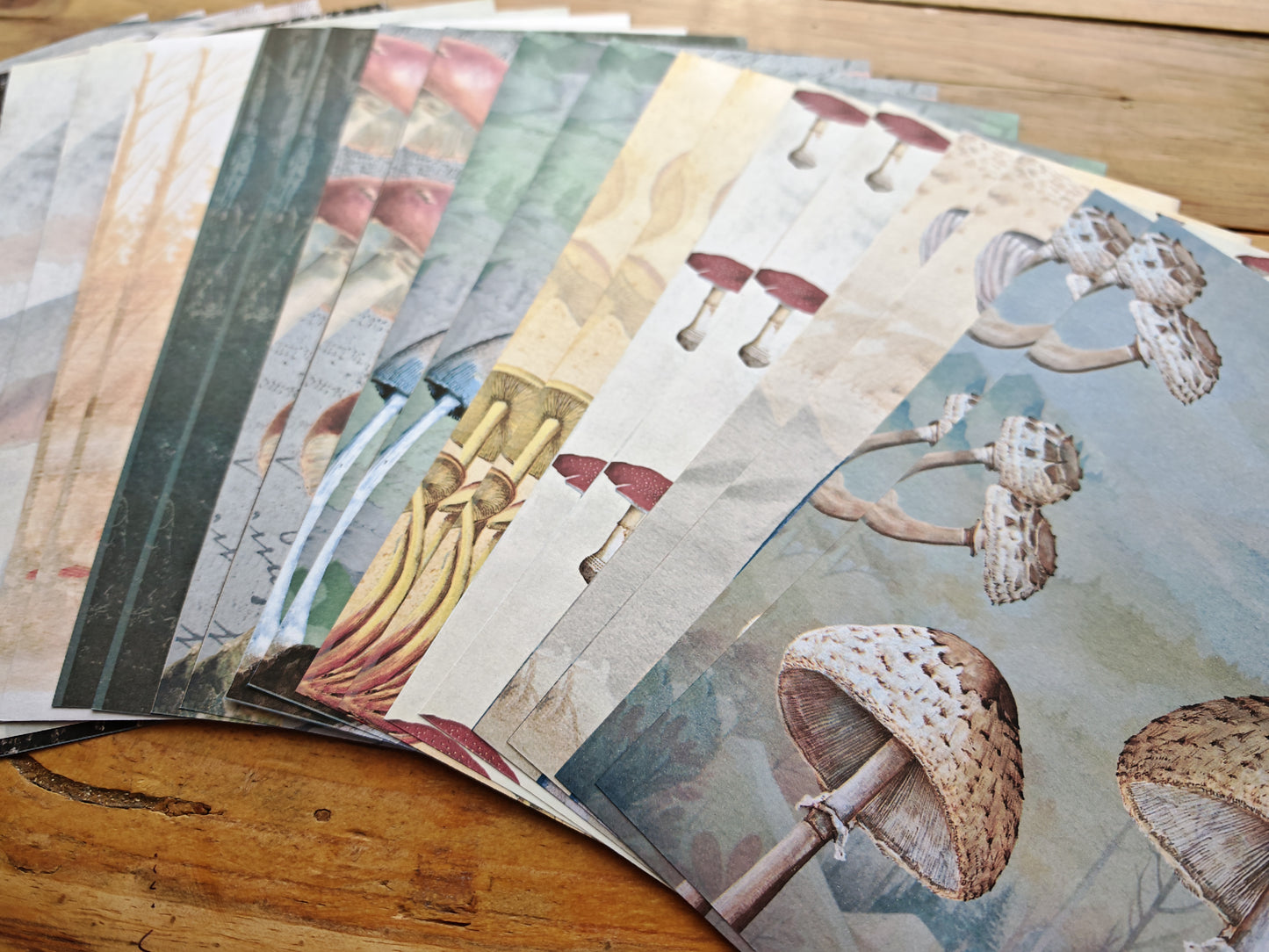 Mushrooms - A5 Paper Pad